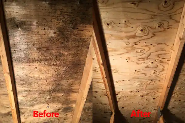 water damage restoration service United States
